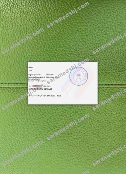 India driving license version 5  photolook BACK